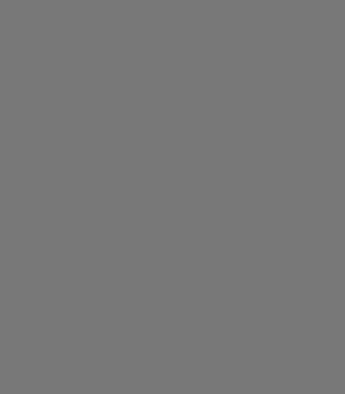 Findings of the &ldquo;FIMI Targeting LGBTIQ+ People&rdquo; report, p. 13